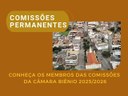 Comissões Permanentes da Câmara Comissões Permanentes da Câmara
