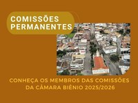 Comissões Permanentes da Câmara