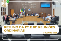 Resumo da 18ª e 19ª Reuniões Ordinárias