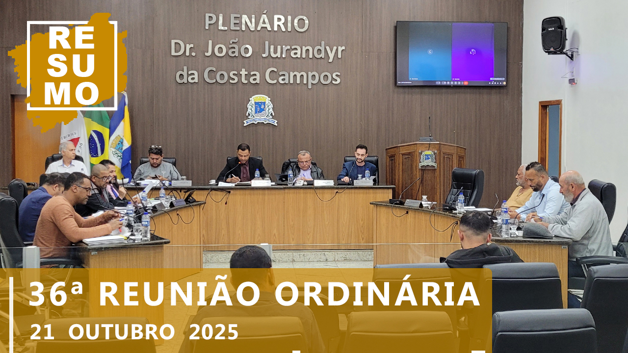 Resumo da 36ª Reunião Ordinária