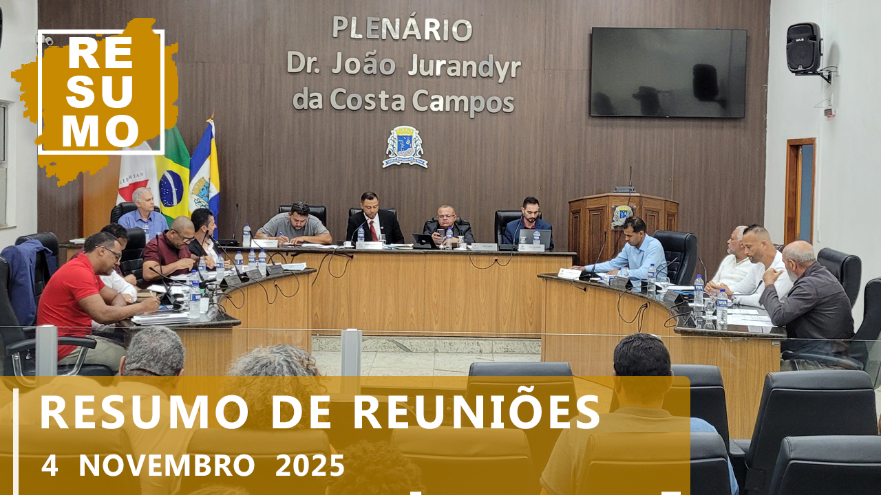 Resumo da 38ª Reunião Ordinária e 12ª Reunião Extraordinária