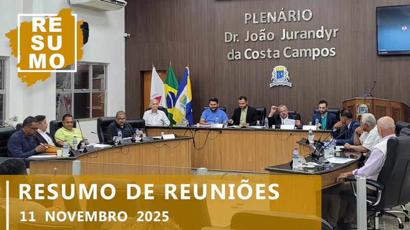 Resumo da 39ª Reunião Ordinária e 13ª Reunião Extraordinária